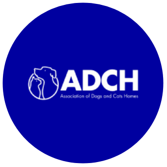 ADCH Logo